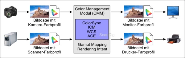 adobe color management module (cmm) for mac